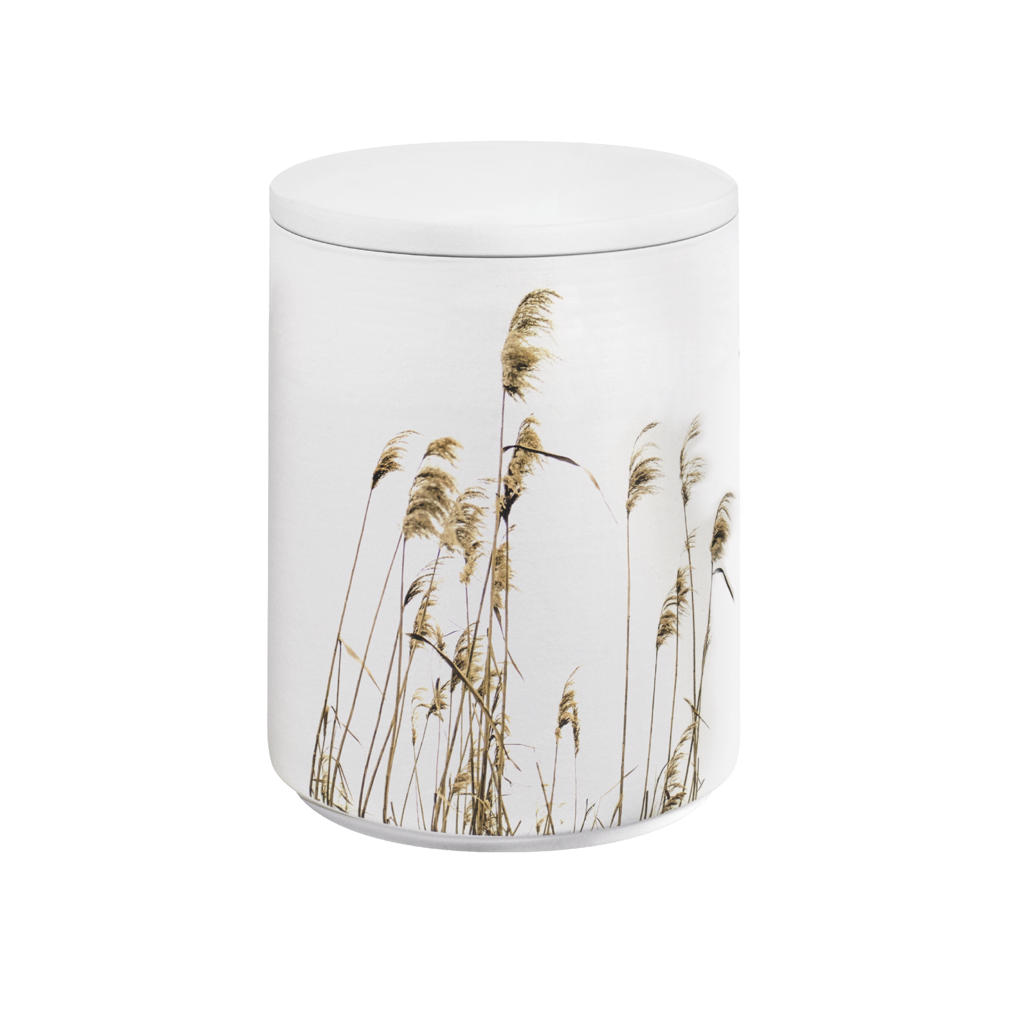 Urne 37544 FLORA AQUA Schilf weiß