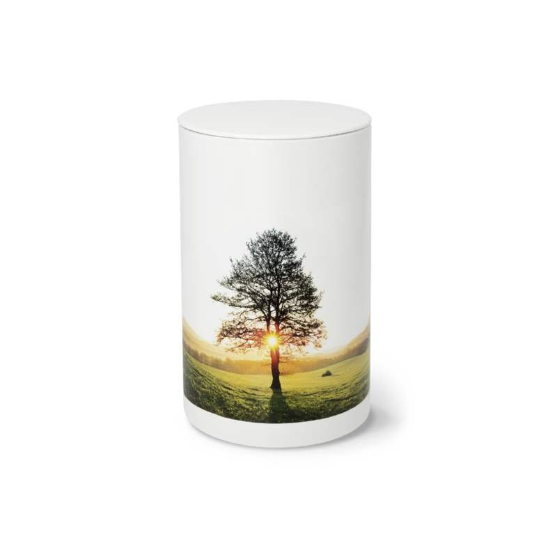 Urne 38337 RUHEBAUM Licht weiß Urne 38337 RUHEBAUM Licht weiß